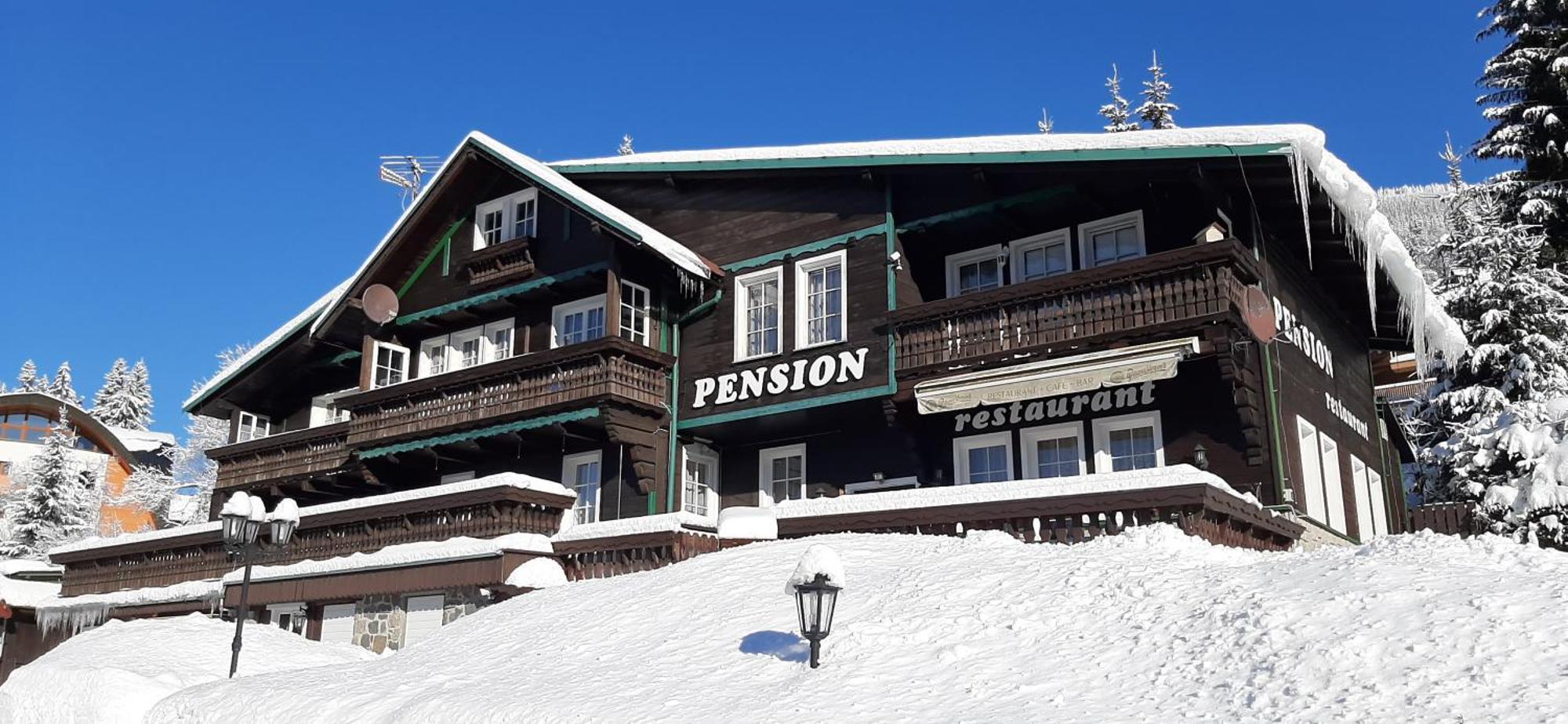 Pension Svycarsky Dum スピンドレルフ・ムリン エクステリア 写真